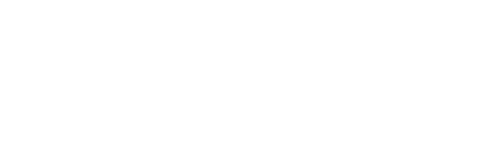 Local Focus